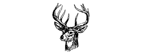 Sinnemahoning Sportsmen's Club Deer Head Logo