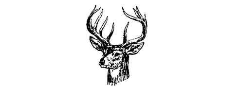 Sinnemahoning Sportsmen's Club Deer Head Logo